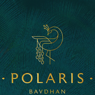 Excellaa Polaris logo