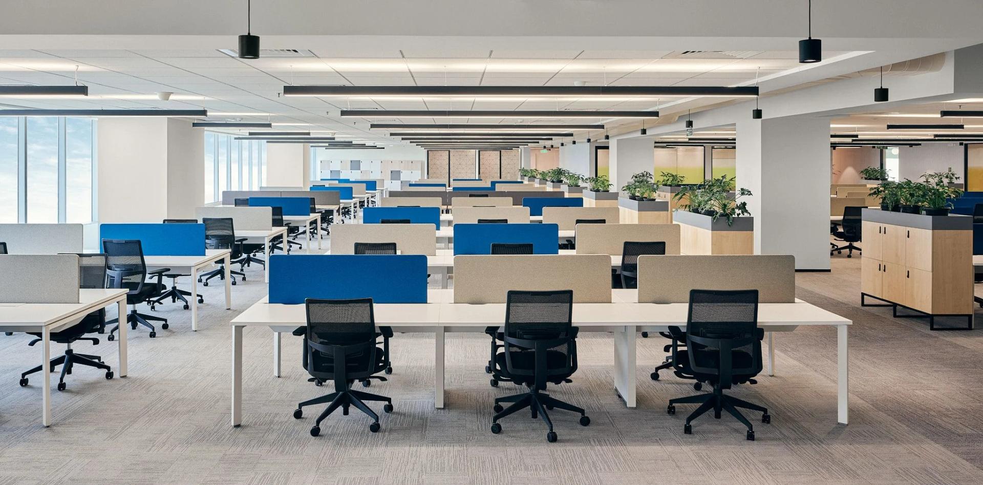Open-plan office with blue partitions at Avishkar Ridhima Commercial Hinjewadi Phase 3