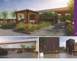 Pashankar Petals Tathawade , pune