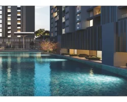 Mihir Amara Wakad, pune