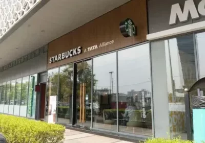 Merlin Ventana Baner